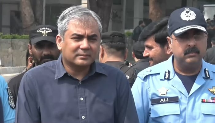 Naqvi